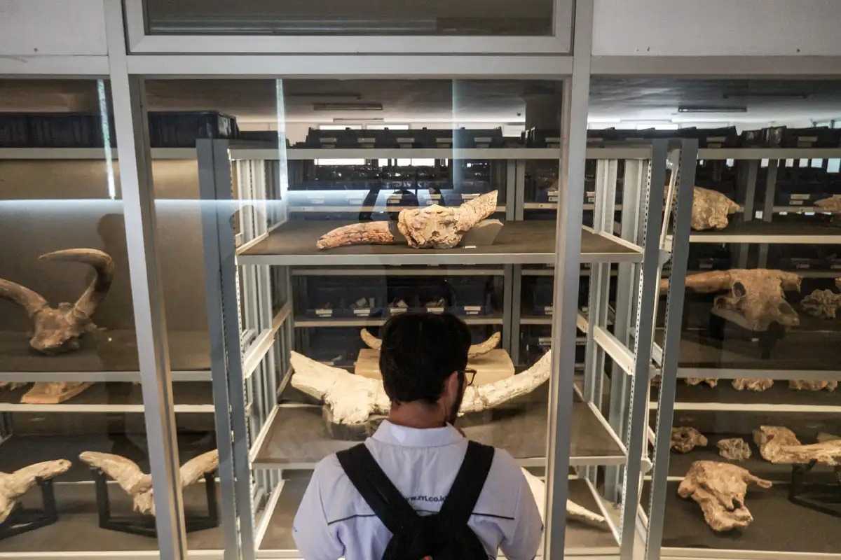 gambar berita terkait