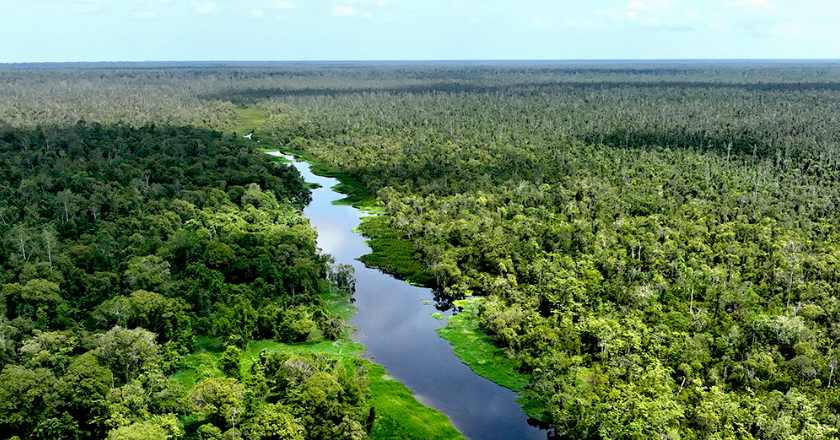 Koalisi Masyarakat Sipil Dorong Revisi Menyeluruh UU Kehutanan, Tata Kelola Hutan Jadi Sorotan